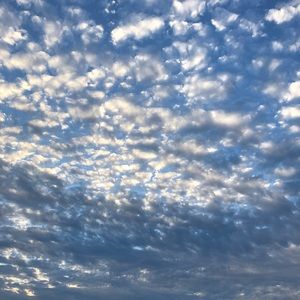 Meet your Posher, Darla